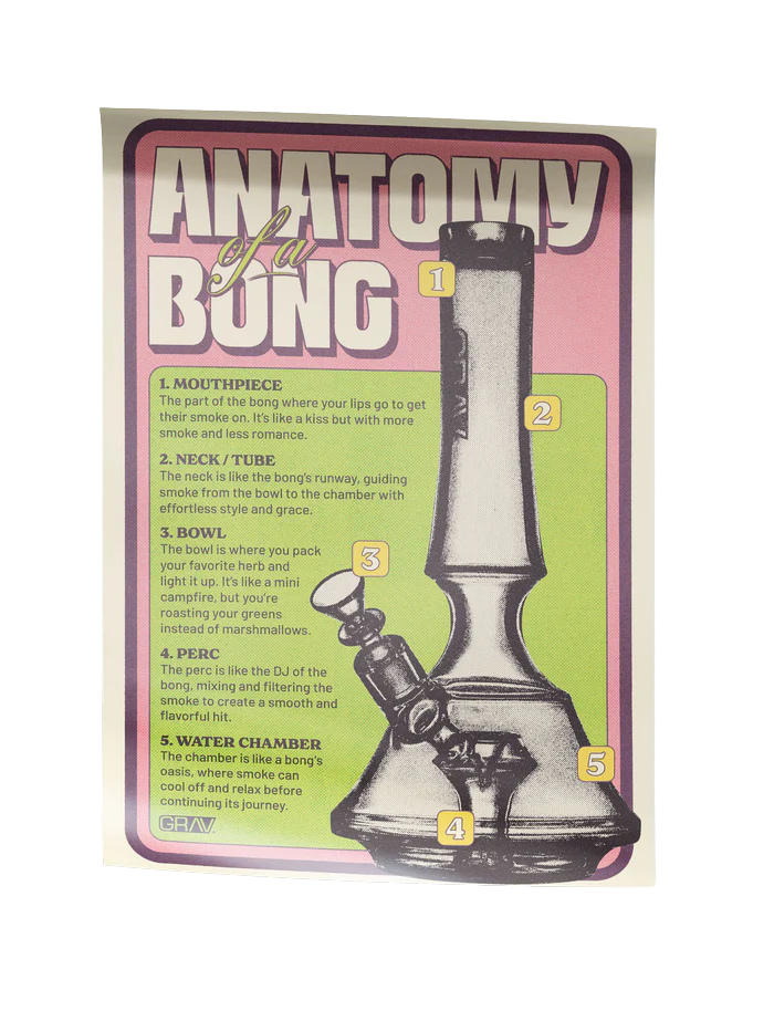 GRAV® Anatomy of a Bong Poster (16" x 24")