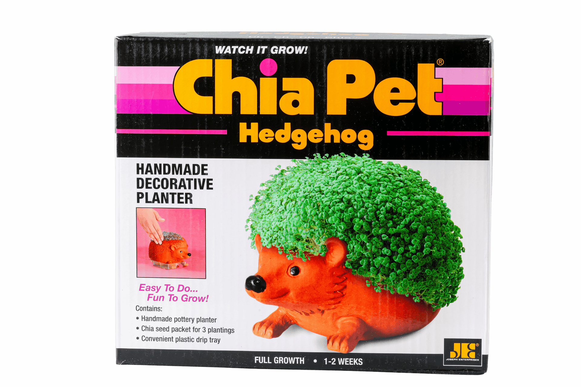 Chia Pet – Hedgehog  Decorative Planter