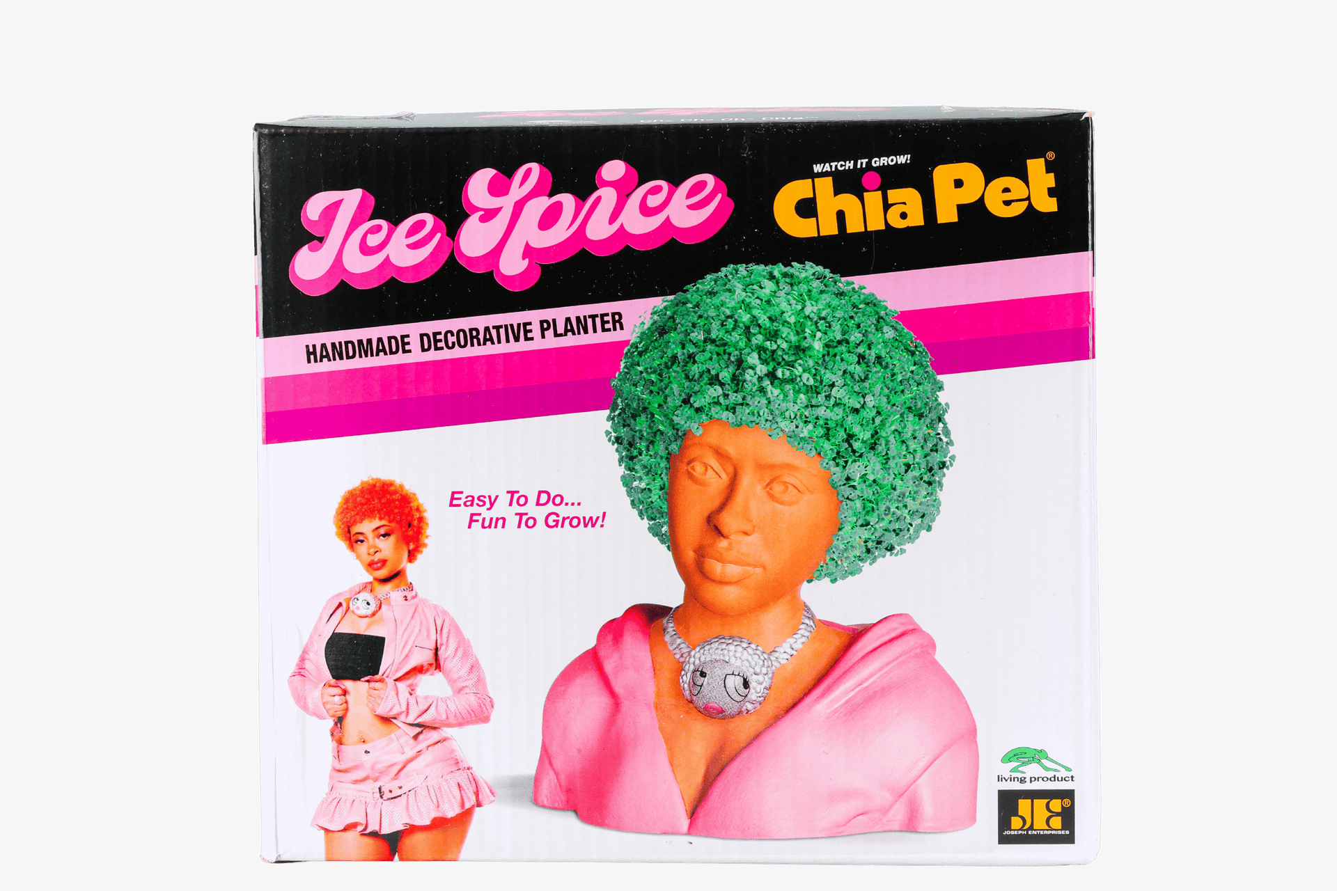 Chia Pet – Ice Spice Decorative Planter